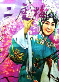 成人爽视频